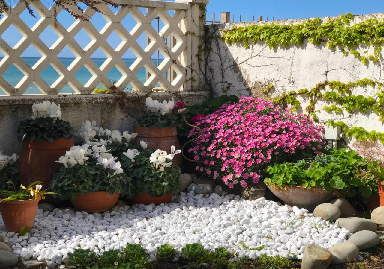 Il Giardino Sul Mare B&B Riva Ligure Exterior photo